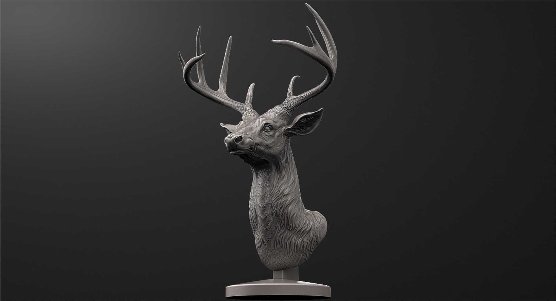 deer head sculpture 3D https://p.turbosquid.com/ts-thumb/Fn/CQdNVb/mQbrCe1u/deer3/jpg/1568919722/1920x1080/fit_q87/96b9c2c2702ca683fb4631d80c6ce75a97790b32/deer3.jpg