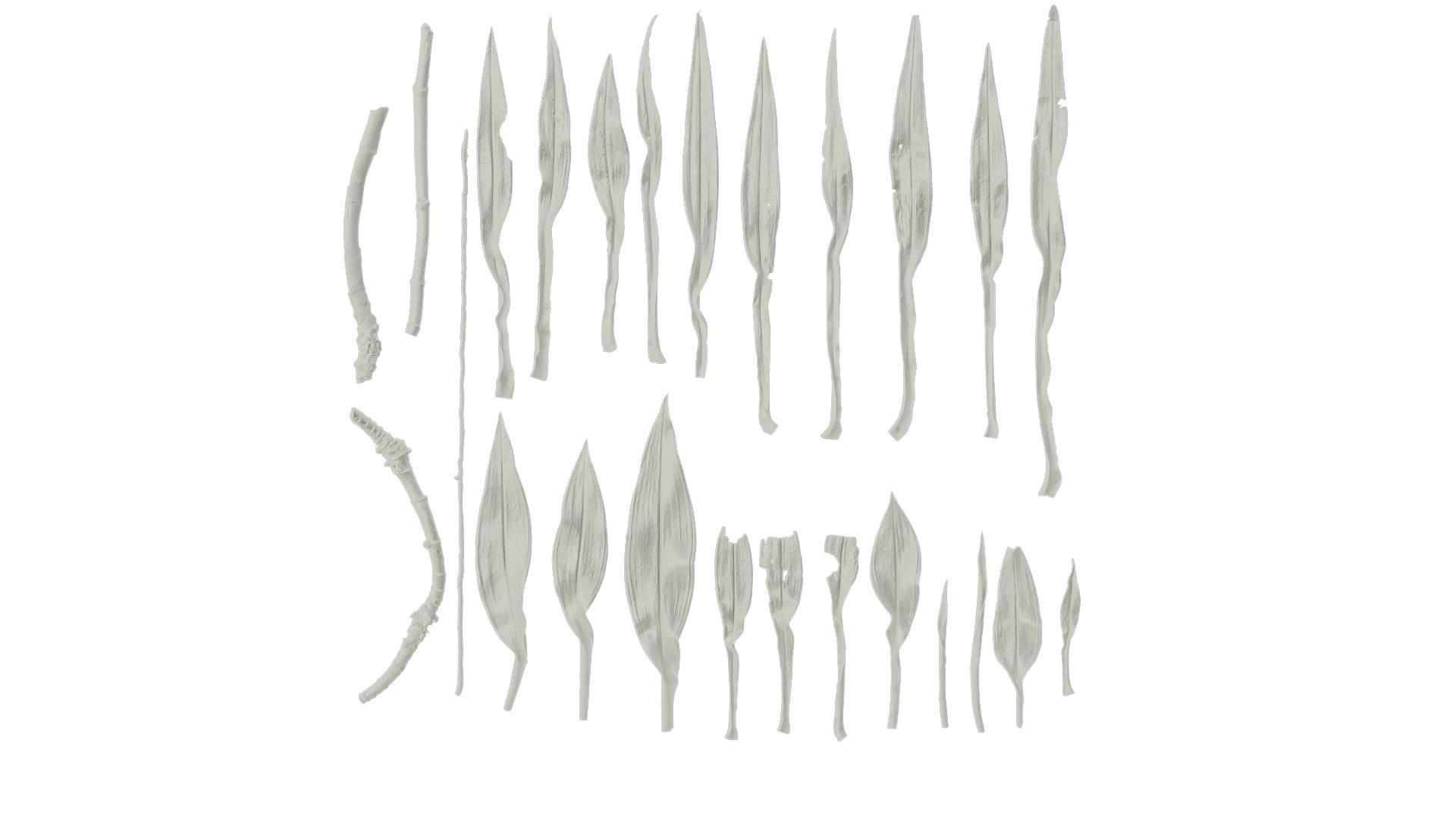 3D Anydrafts Dendrobium Moniliforme Leaf 01 Textures - TurboSquid 2355004