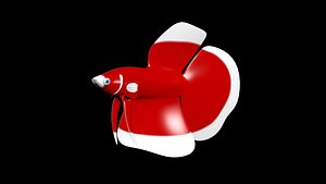 3D betta fish rigged model