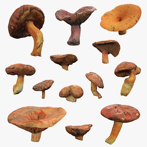 3D model Mushroom Pack