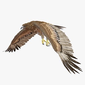 3ds gurney s eagle