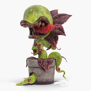 Monster Plant Green