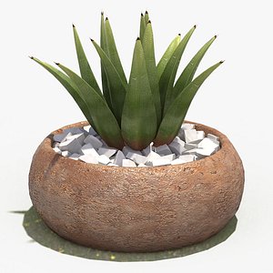 decorate plant 2 3d model