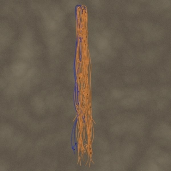 String 3D Models for Download | TurboSquid