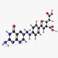 Folic Acid Molecular Model