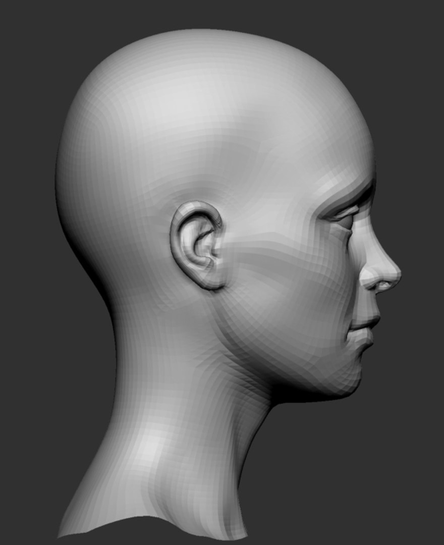 Obj Female Head Base Mesh 0119