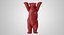 3D united buddy bear