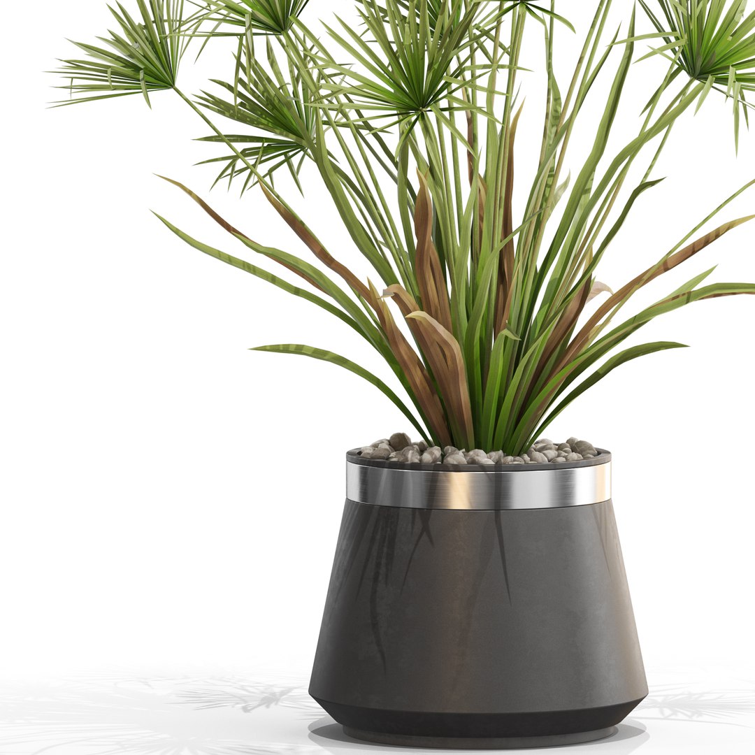 Plants collection 669 model https://p.turbosquid.com/ts-thumb/Fn/yfGb0k/XX/plant_669_02.rgb_color/jpg/1651827524/1920x1080/fit_q87/cc9994b79fbb8ad131abdf086c3d2ef1490f6592/plant_669_02.rgb_color.jpg