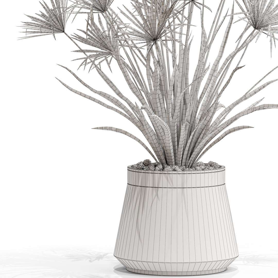 Plants collection 669 model https://p.turbosquid.com/ts-thumb/Fn/yfGb0k/hD/plant_669_05.rgb_color/jpg/1651827523/1920x1080/fit_q87/6793ddce9a5cb29873dd9680805eb81b55dd6a30/plant_669_05.rgb_color.jpg