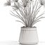 Plants collection 669