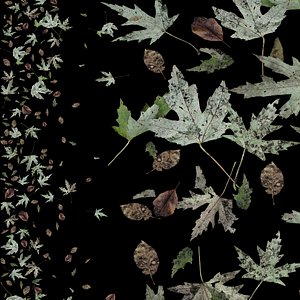 Autumn green leaves 3D model