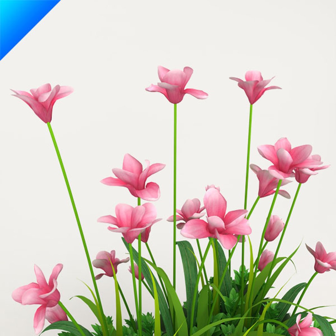 3d model outdoor plant design https://p.turbosquid.com/ts-thumb/Fo/4NMWKW/A1Wimbb6/magnoliaoutdoor6/jpg/1308538994/1920x1080/fit_q87/c2dbddacb84b98fc5a0fca29c6f7e862b5e1242a/magnoliaoutdoor6.jpg