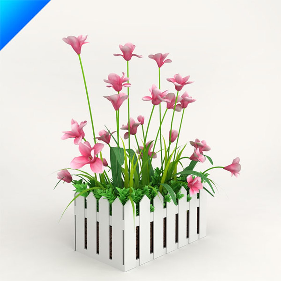 3d model outdoor plant design https://p.turbosquid.com/ts-thumb/Fo/4NMWKW/A7xtHIh9/magnoliaoutdoor2/jpg/1308538994/1920x1080/fit_q87/69310110a1e5cca5b797a04d8707212028a028ad/magnoliaoutdoor2.jpg