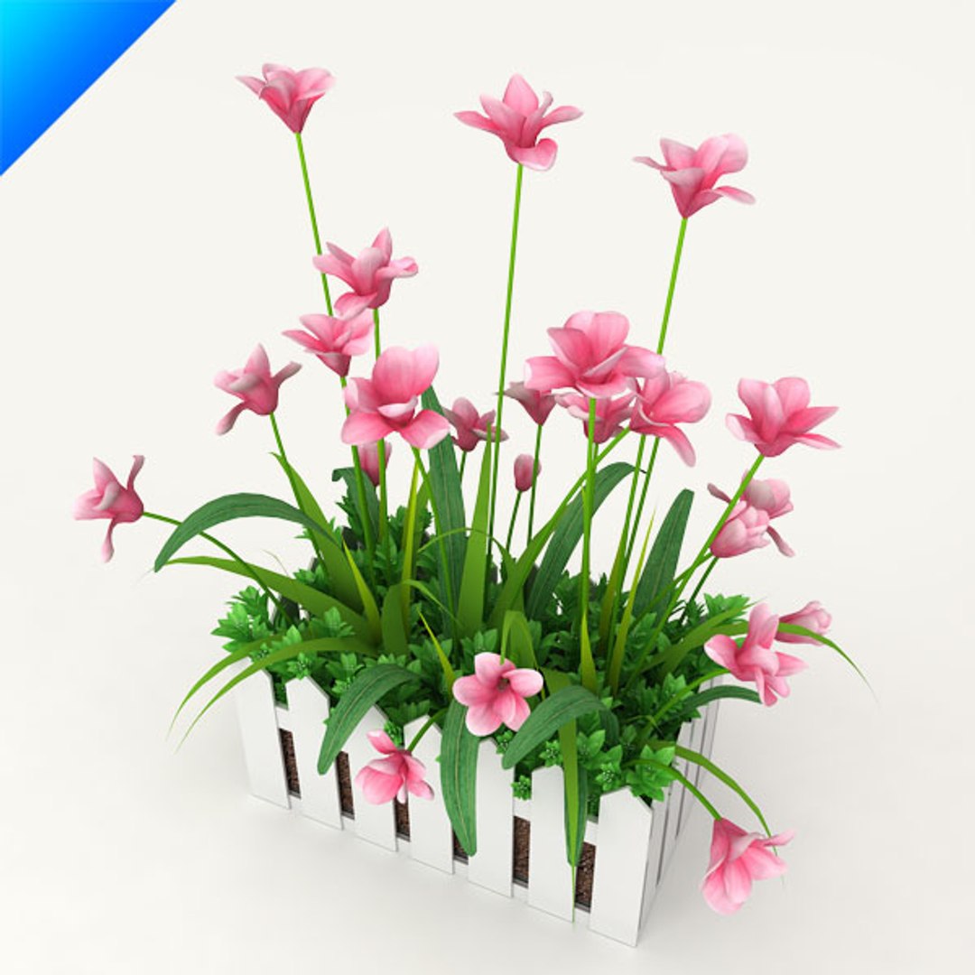 3d model outdoor plant design https://p.turbosquid.com/ts-thumb/Fo/4NMWKW/FQHcBikk/magnoliaoutdoor8/jpg/1308538994/1920x1080/fit_q87/1c89d5f2066a4751251d757cd65c30b69185b2be/magnoliaoutdoor8.jpg