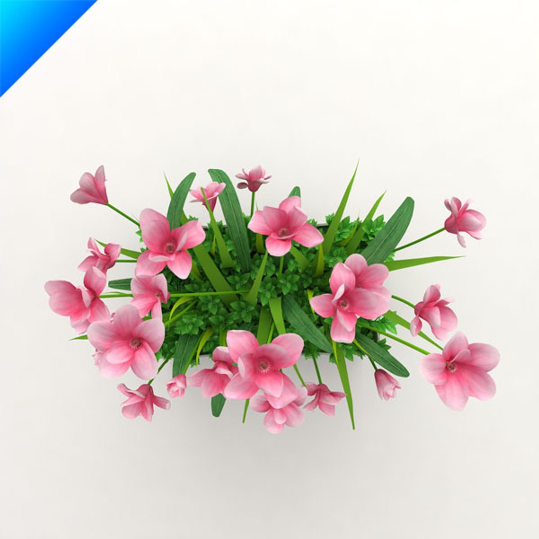 3d model outdoor plant design https://p.turbosquid.com/ts-thumb/Fo/4NMWKW/GsYpjMgO/magnoliaoutdoor3/jpg/1308538994/1920x1080/fit_q87/f741233aaa6cfb575e07ea932fc0af291d9facbf/magnoliaoutdoor3.jpg