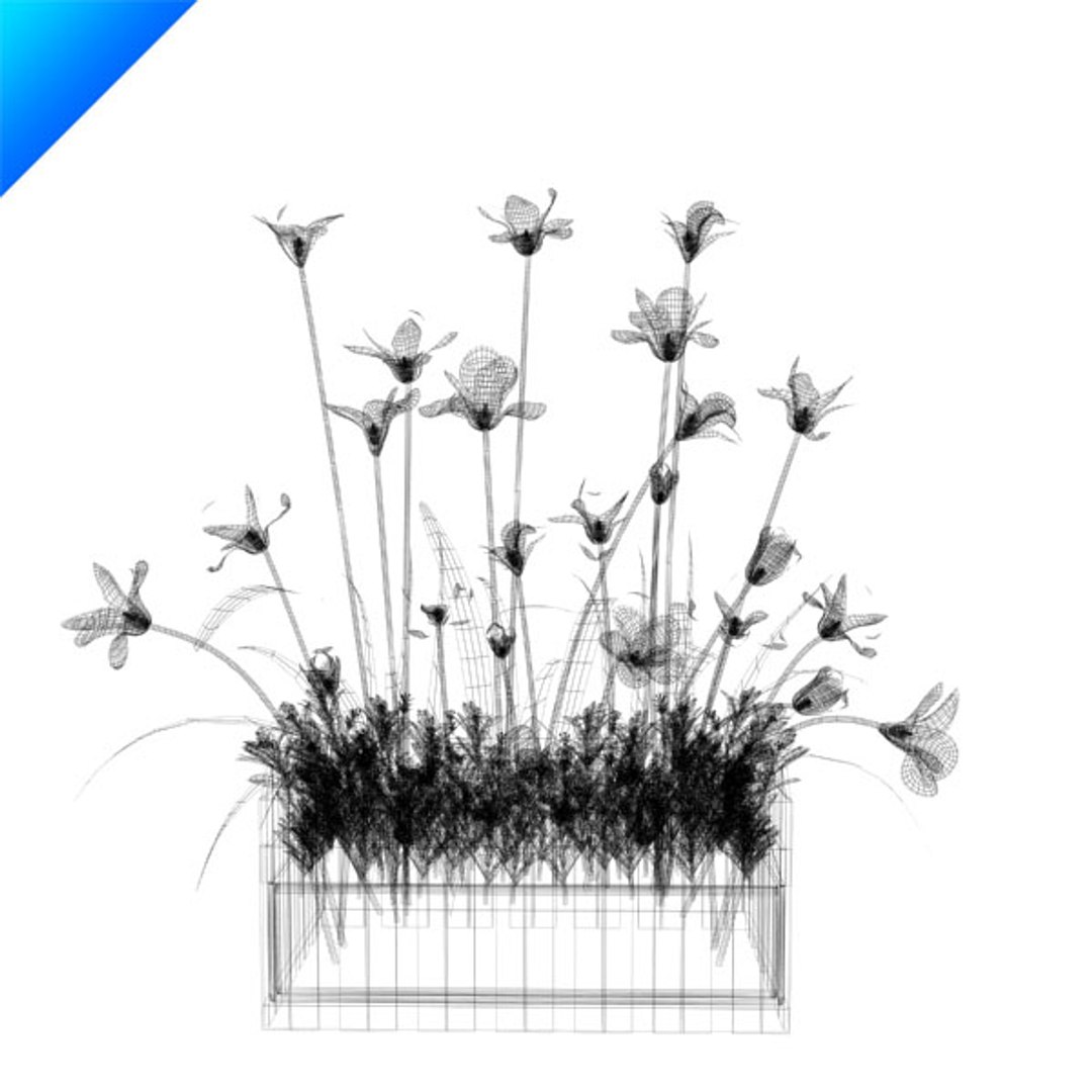 3d model outdoor plant design https://p.turbosquid.com/ts-thumb/Fo/4NMWKW/St2b50Zs/magnoliaoutdoor9/jpg/1308538994/1920x1080/fit_q87/0fd55e4fe0902aa70bc99564e77d8f547c8a918e/magnoliaoutdoor9.jpg