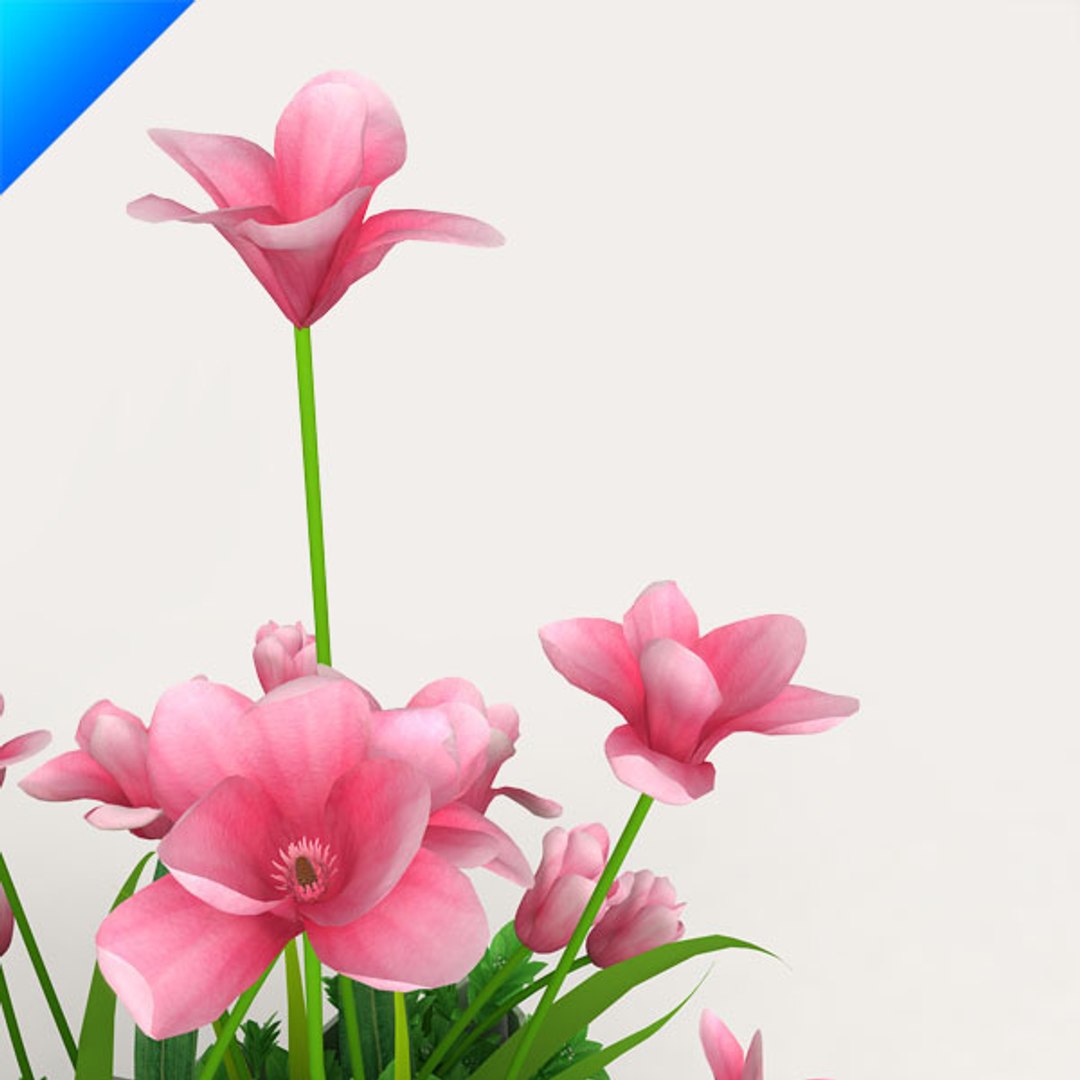 3d model outdoor plant design https://p.turbosquid.com/ts-thumb/Fo/4NMWKW/UlXGCQJx/magnoliaoutdoor7/jpg/1308538994/1920x1080/fit_q87/94f38f2ddbb575e59fd900140339096c9fff439b/magnoliaoutdoor7.jpg
