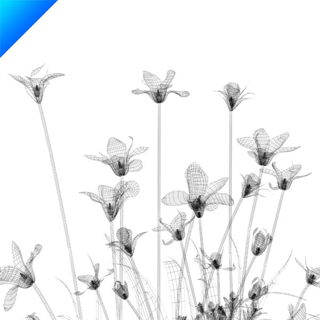 3d model outdoor plant design https://p.turbosquid.com/ts-thumb/Fo/4NMWKW/VtnkzBwV/magnoliaoutdoor10/jpg/1308541299/1920x1080/fit_q87/184a9b94942af42dcdddcd9d3fd12ab5f298fa01/magnoliaoutdoor10.jpg
