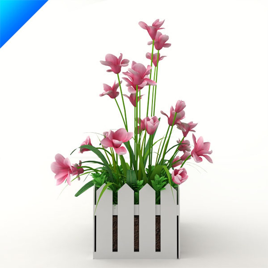 3d model outdoor plant design https://p.turbosquid.com/ts-thumb/Fo/4NMWKW/mvYMMMlt/magnoliaoutdoor4/jpg/1308538994/1920x1080/fit_q87/16aecf38b554f9085ea8fc38eeee637ca8822599/magnoliaoutdoor4.jpg