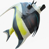 Moorish Idol Tropical Fish Rigged for Maya