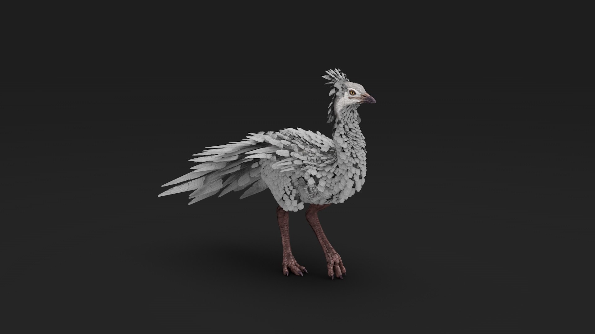 3D White Ostrich - TurboSquid 1840841