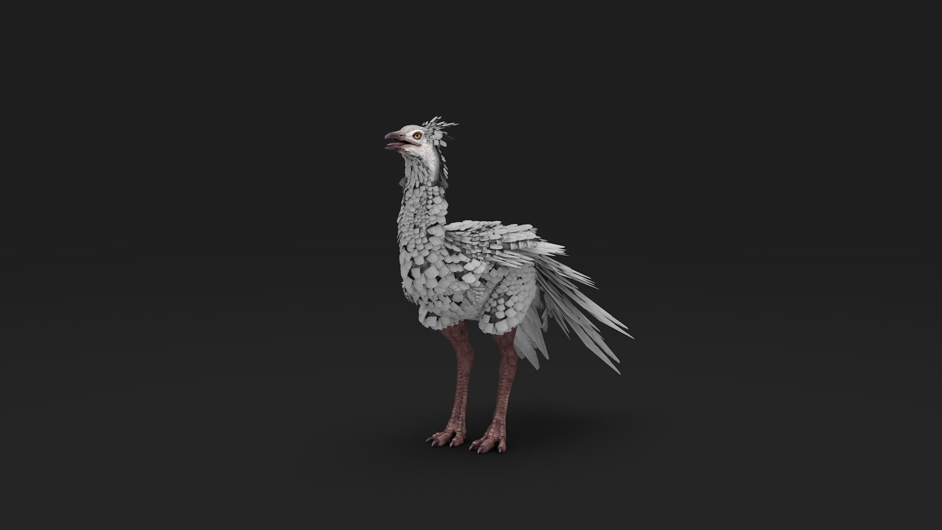 3D White Ostrich - TurboSquid 1840841