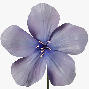 Blue Forest Flower Animated Low Poly 3D