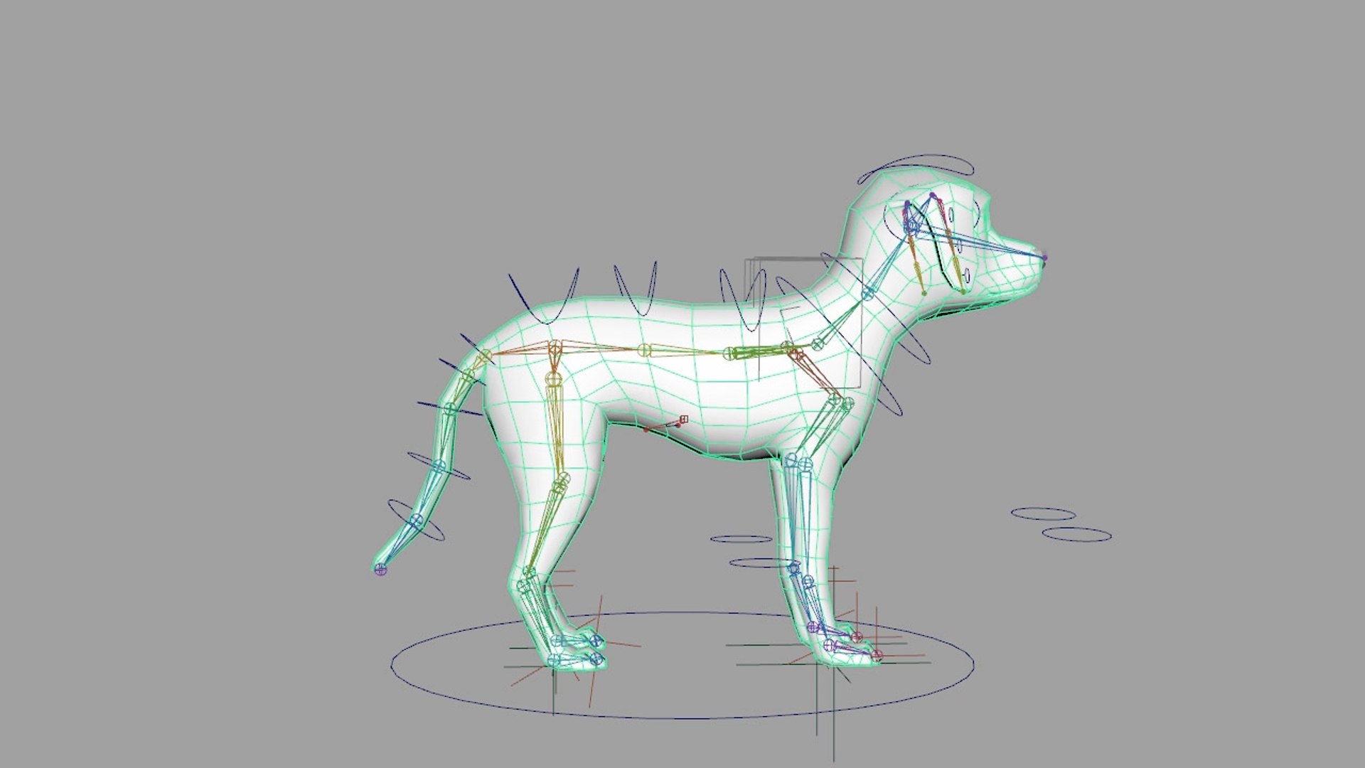 Realistic Cavoodle Dog Rigged Model - TurboSquid 1446745