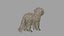 realistic cavoodle dog rigged model