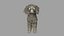 realistic cavoodle dog rigged model