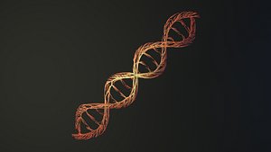 Human DNA unrolling growing animation 3D