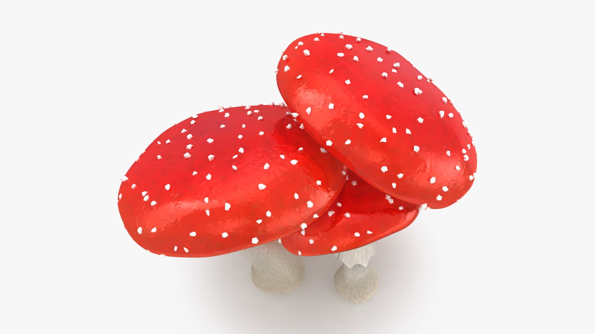 obj mushrooms amanita https://p.turbosquid.com/ts-thumb/Fo/PG8ztG/Ag/mushroomsamanita_b0020/jpg/1673195968/1920x1080/fit_q87/650861d209c012b23eb316ad7aea0699a538b48e/mushroomsamanita_b0020.jpg
