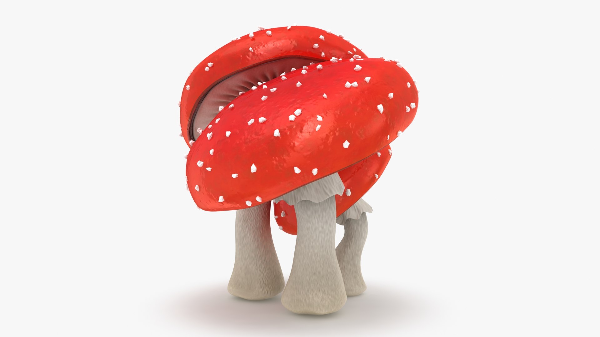 obj mushrooms amanita https://p.turbosquid.com/ts-thumb/Fo/PG8ztG/Cy/mushroomsamanita_b0012/jpg/1673195963/1920x1080/fit_q87/6cab0b2efc7920728a44ac9c9415d43d915d2661/mushroomsamanita_b0012.jpg