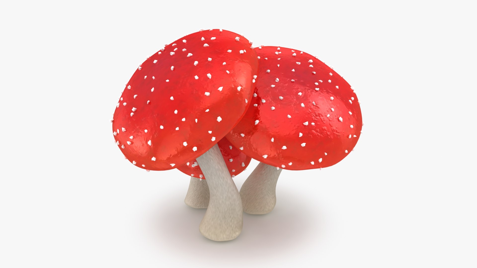 obj mushrooms amanita https://p.turbosquid.com/ts-thumb/Fo/PG8ztG/NF/mushroomsamanita_b0006/jpg/1673195962/1920x1080/fit_q87/d850233b850acf26201447396dedabe04c0342dc/mushroomsamanita_b0006.jpg