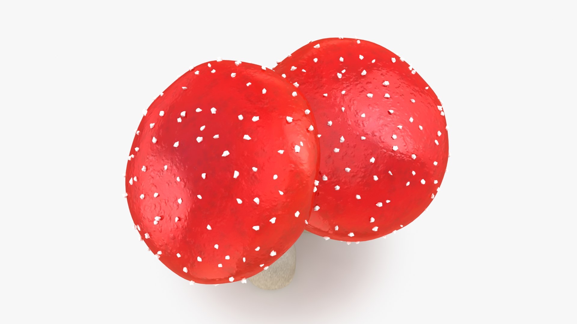 obj mushrooms amanita https://p.turbosquid.com/ts-thumb/Fo/PG8ztG/R9/mushroomsamanita_b0010/jpg/1673195963/1920x1080/fit_q87/8c8d067305dc202af08ac1ac55dbed896a94297c/mushroomsamanita_b0010.jpg