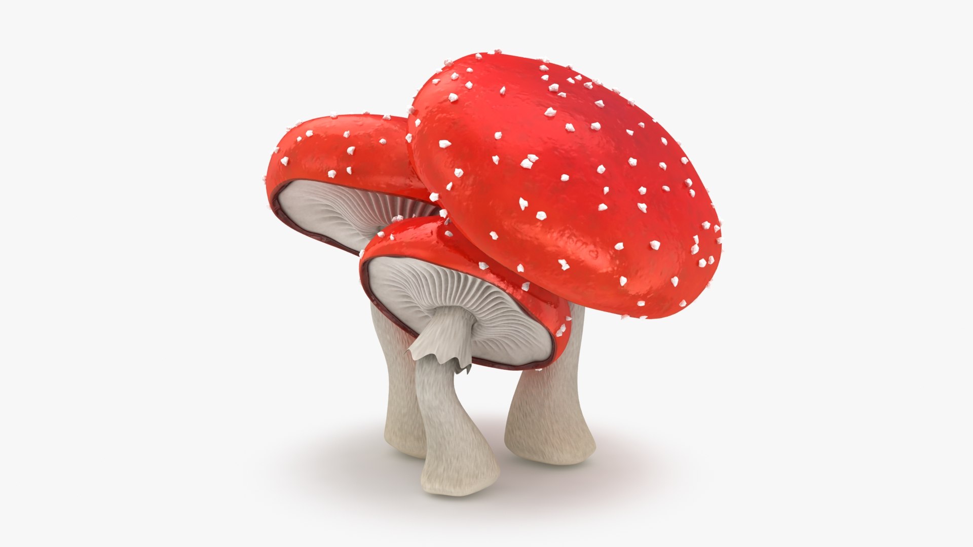 obj mushrooms amanita https://p.turbosquid.com/ts-thumb/Fo/PG8ztG/po/mushroomsamanita_b0002/jpg/1673195961/1920x1080/fit_q87/bd324f72d5c20f464d2cd97febe357d6cc92fa76/mushroomsamanita_b0002.jpg