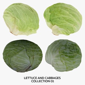 Lettuce and Cabbages Collection 01 - 4 models RAW Scans 3D model