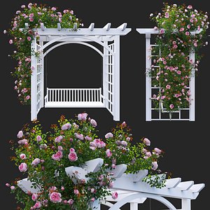 Climbing Rose - Rose Swing 3D model