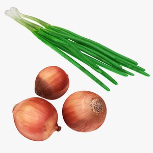 scallion onion food 3D