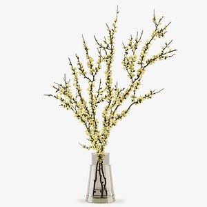 Branches in a vase 017