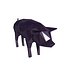 3D pig v1 model