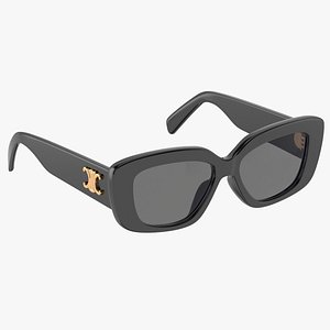 Triomphe 04 sunglasses in Acetate model