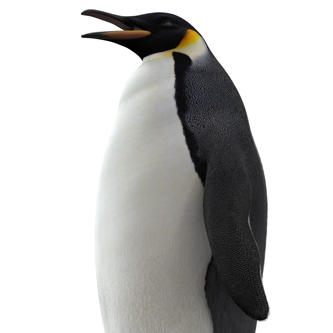 emperor penguin fur 3d max