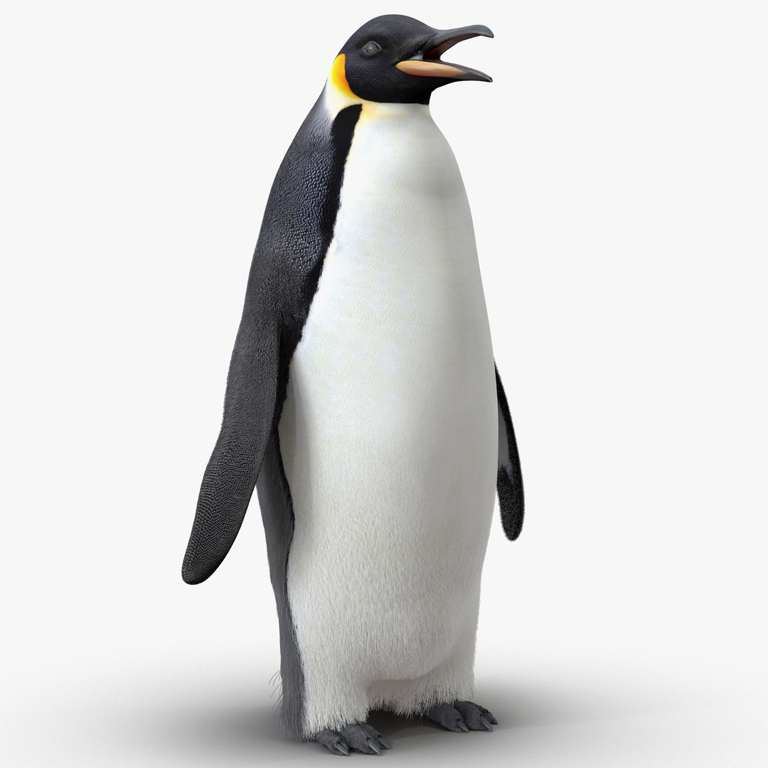 Emperor Penguin with Fur 3D Model 3D model preview