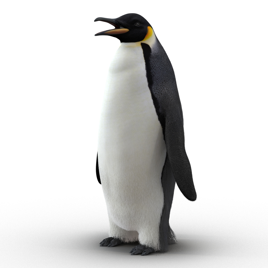 Пингвин 3d модель
