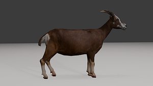 goat 3D