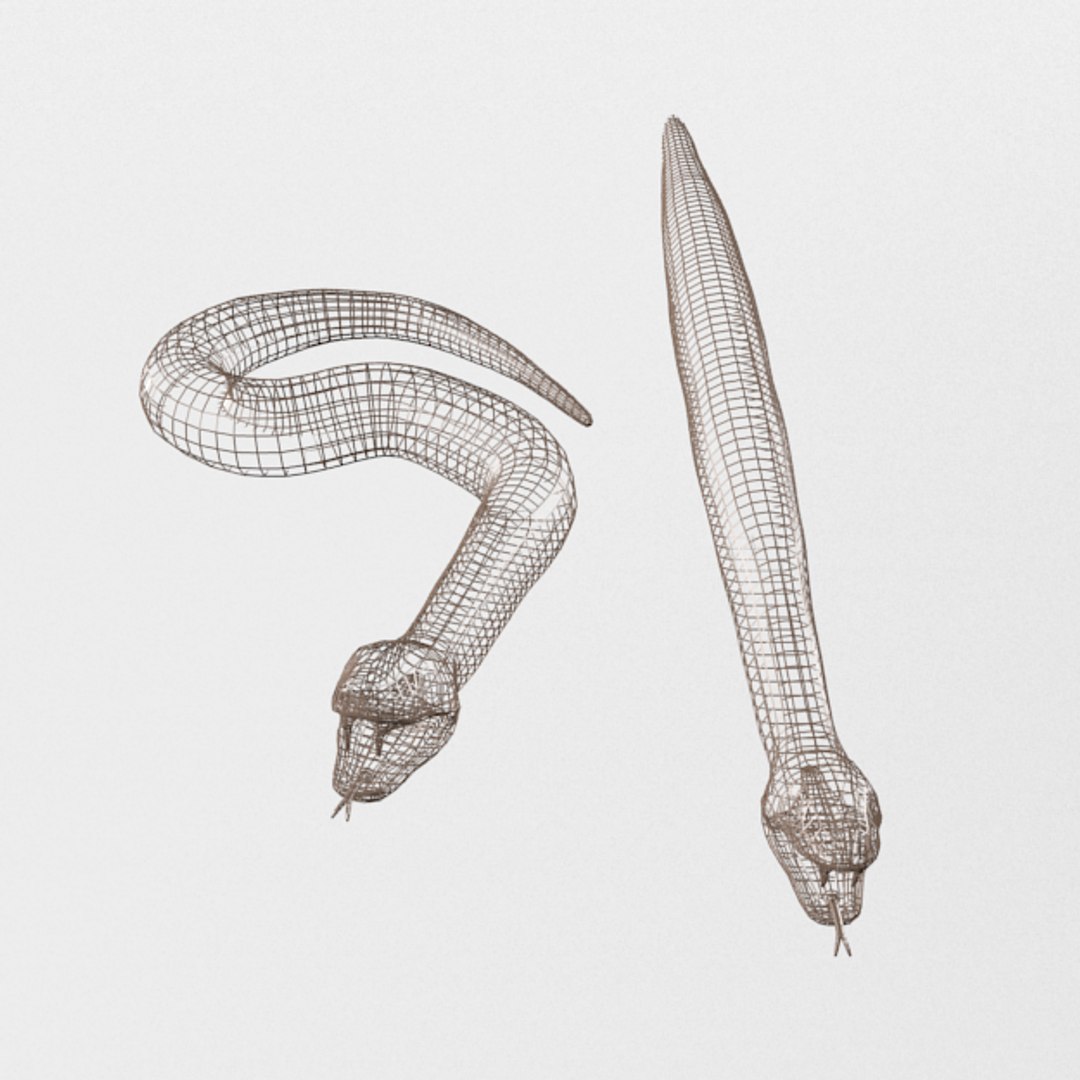 Python Snake 3D Model - TurboSquid 1340455