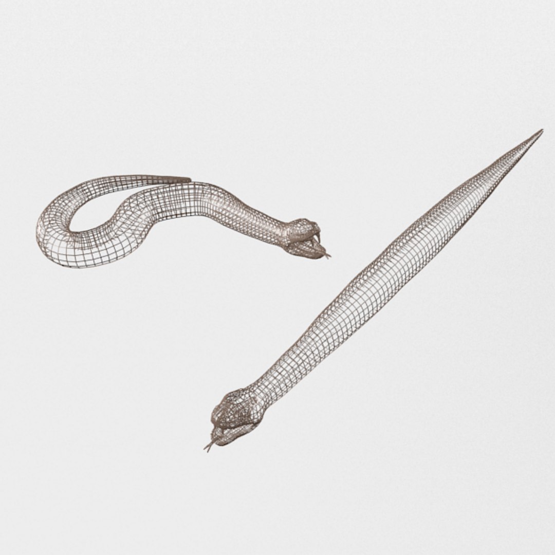 Python Snake 3D Model - TurboSquid 1340455
