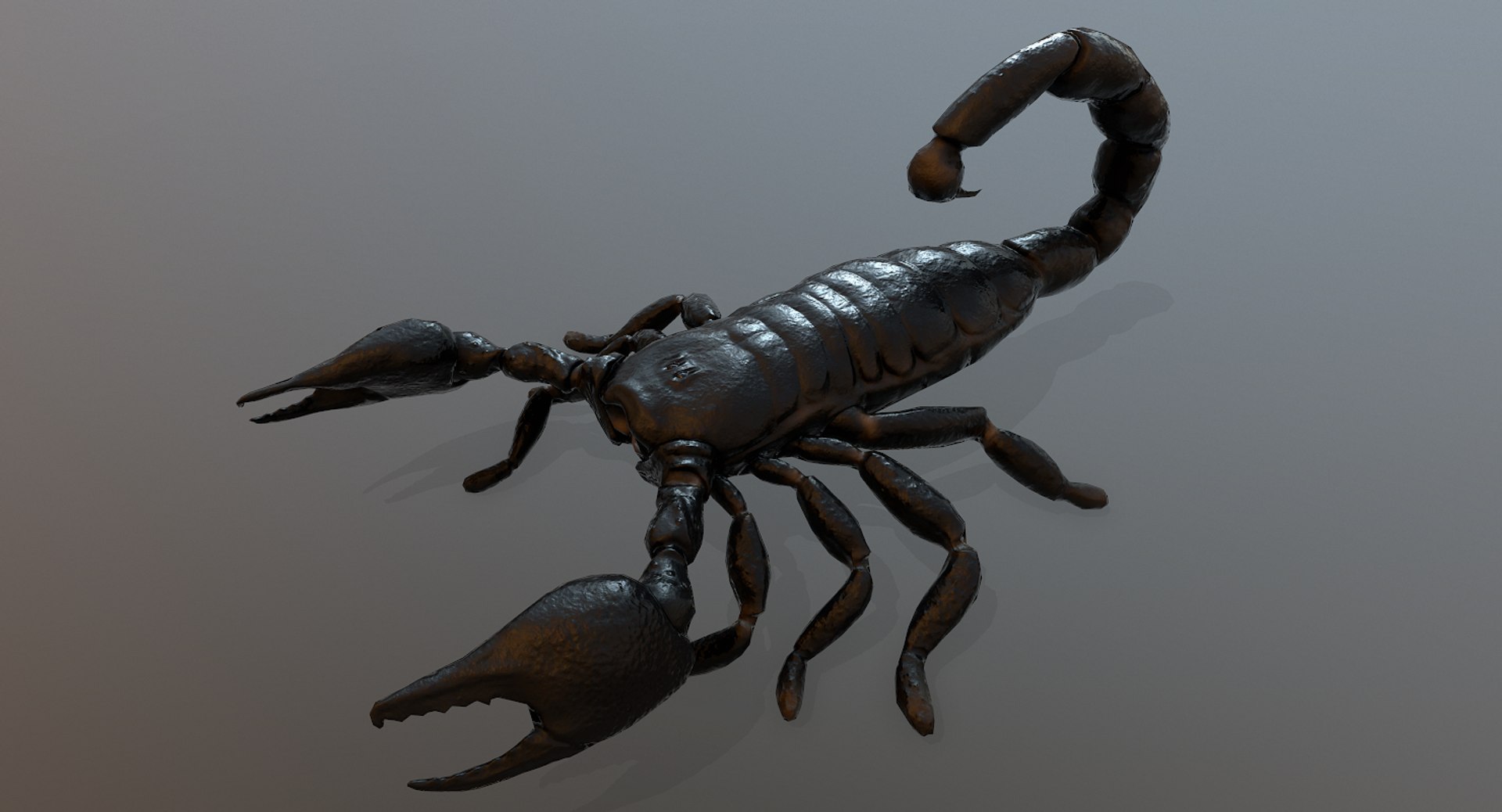 3D Model Black Scorpion - TurboSquid 1272572