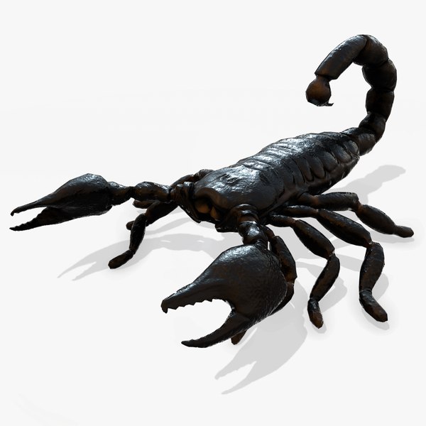 Скорпион 3. СТЛ модель Скорпион. Scorpion 3d model. Скорпион STL. 3d Скорпион STL.